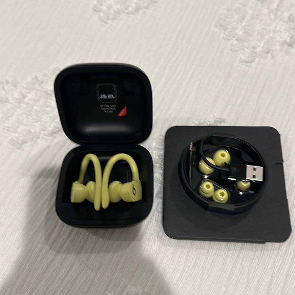 Powerbeats Earbuds